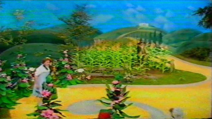 'Dorothy' - Stanley Baxter- and the yellow brick road.The rolling hills were about 12 feet high!